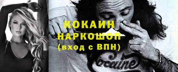мяу мяу кристалл Ельня