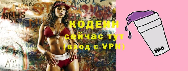 мяу мяу кристалл Ельня