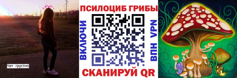 Псилоцибиновые грибы GOLDEN TEACHER Куйбышев